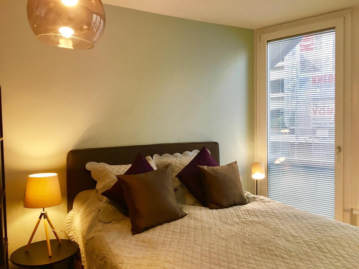 Rue Jean-Antoine Gautier Apartment เจนีวา ภายนอก รูปภาพ