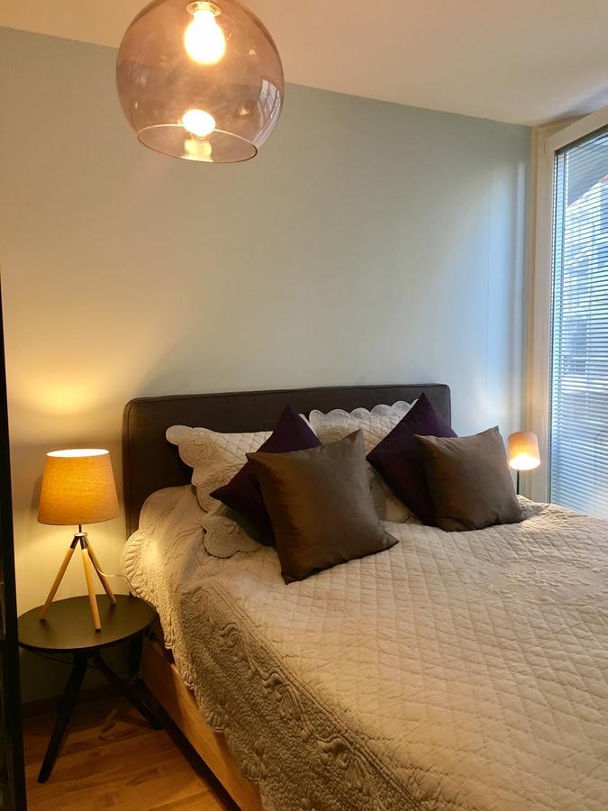 Rue Jean-Antoine Gautier Apartment เจนีวา ภายนอก รูปภาพ
